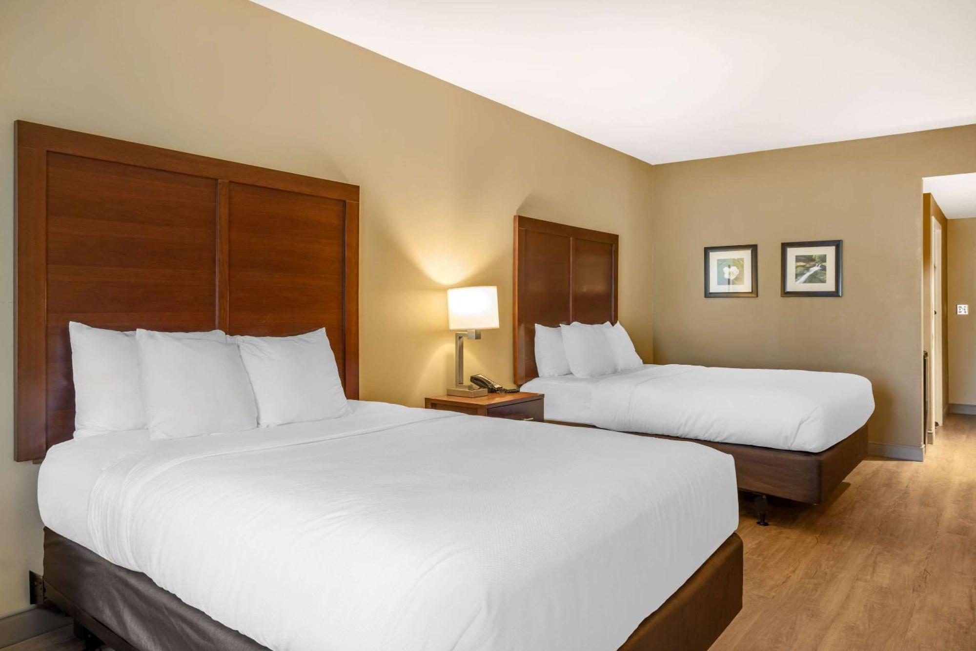 Comfort Inn & Suites At Crossplex Village Birmingham Bagian luar foto