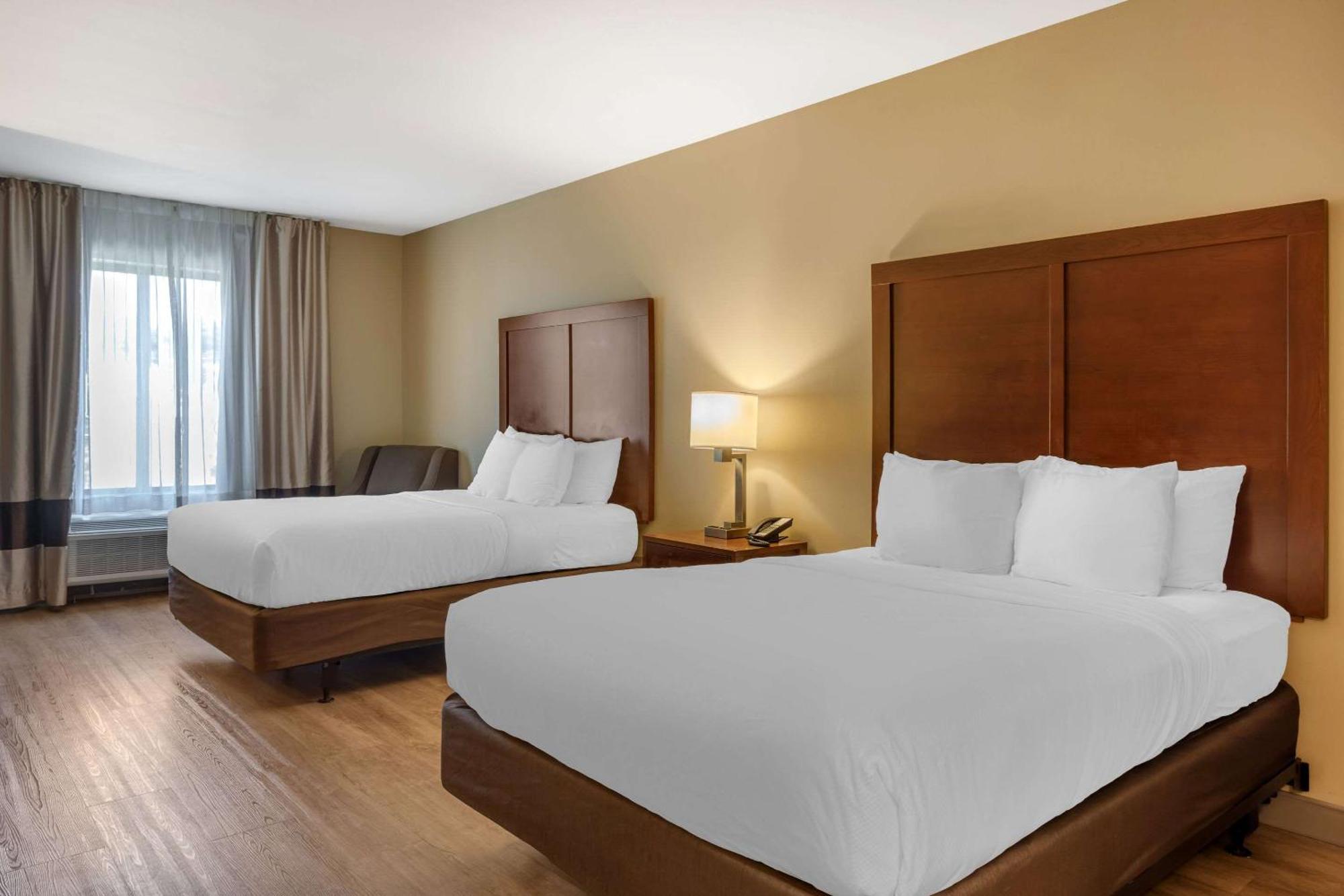 Comfort Inn & Suites At Crossplex Village Birmingham Bagian luar foto